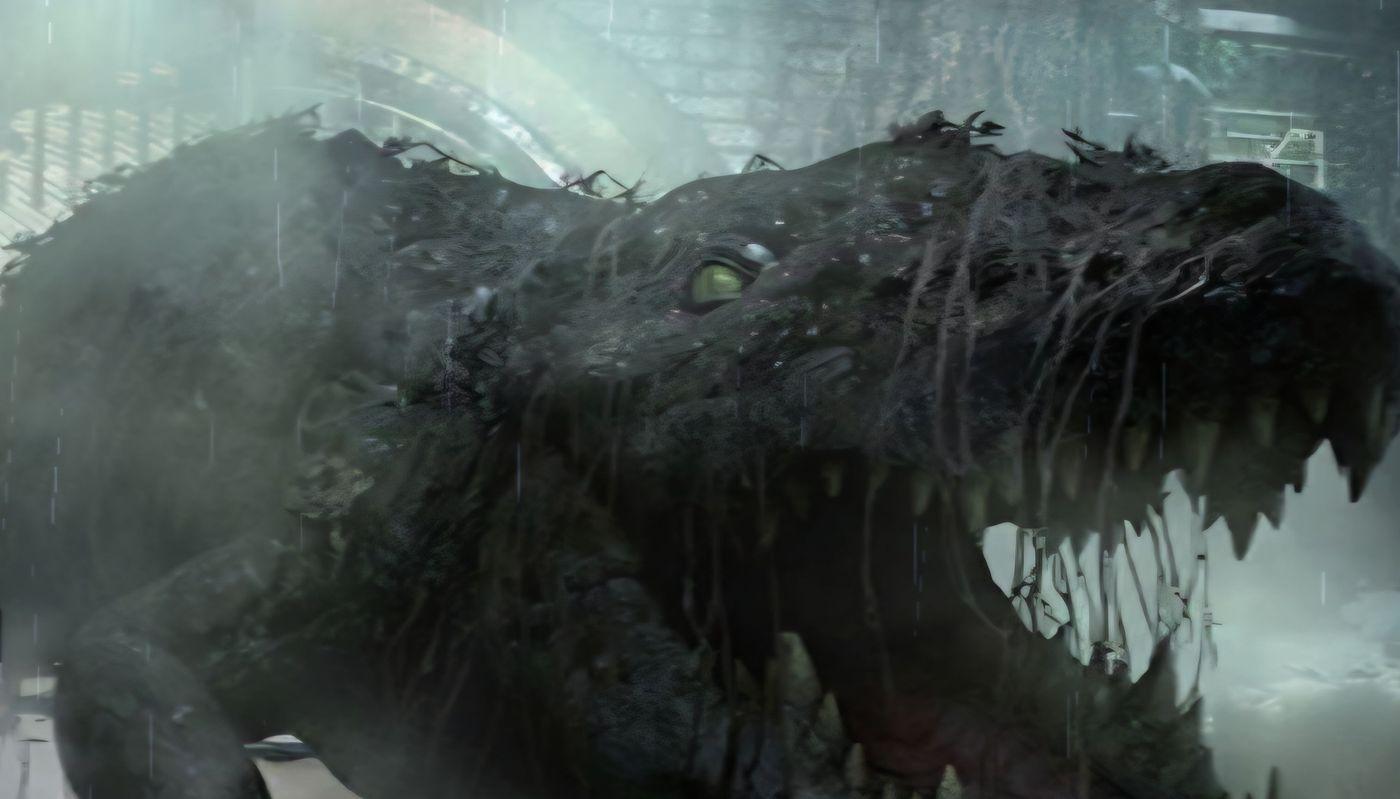 image of the activity