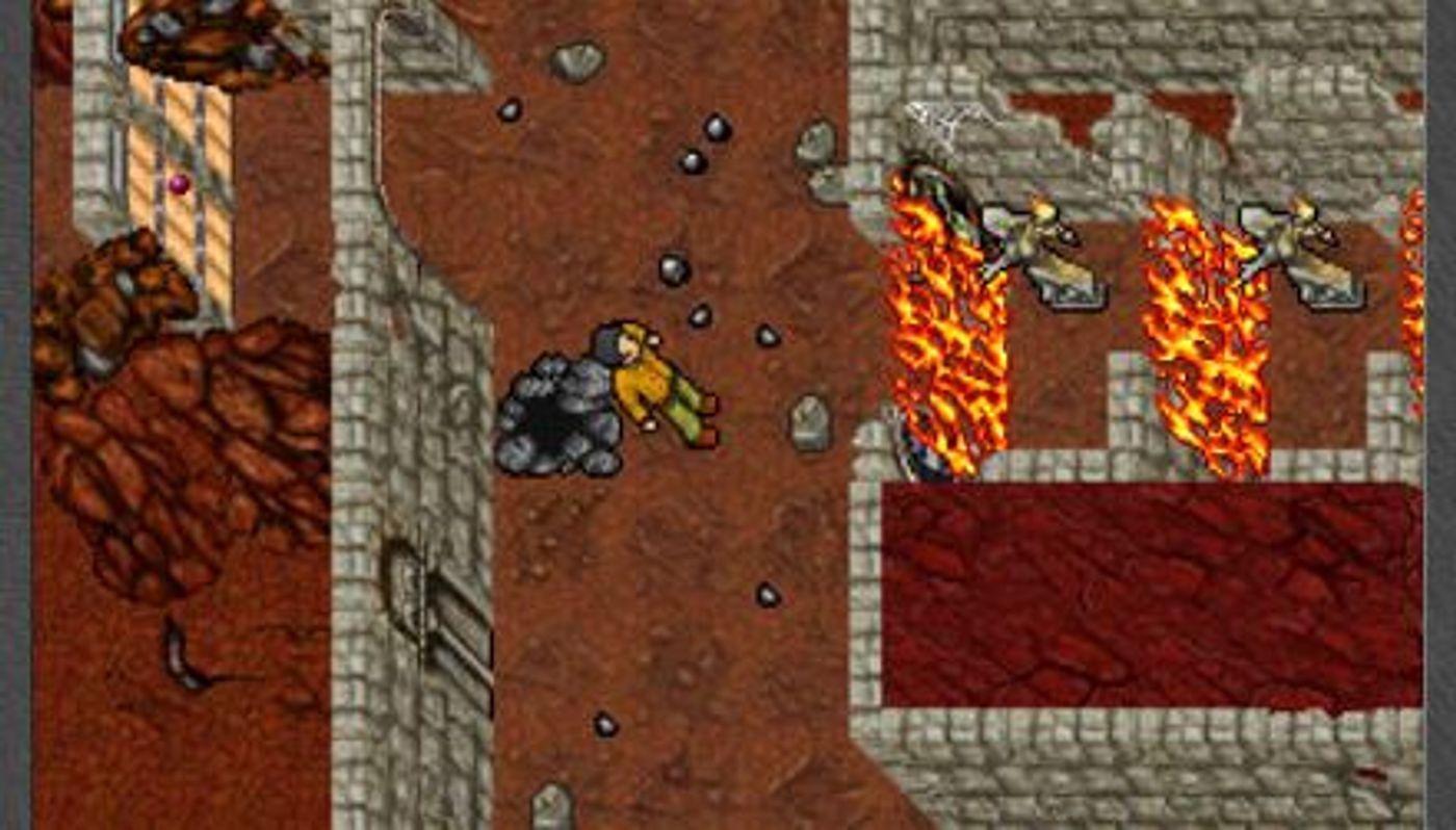 image of the activity