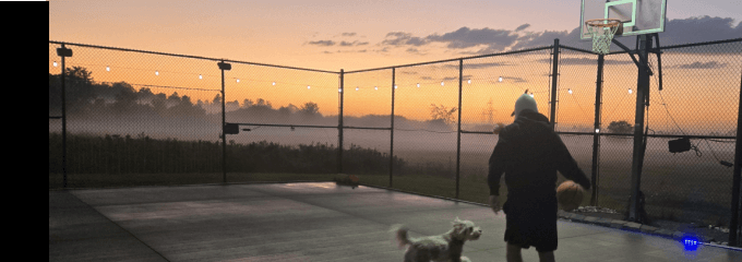 the image for this activity