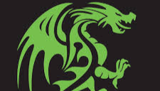 image of the activity