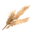 Icon for the "🌟Wheat [x50]" RSVP category