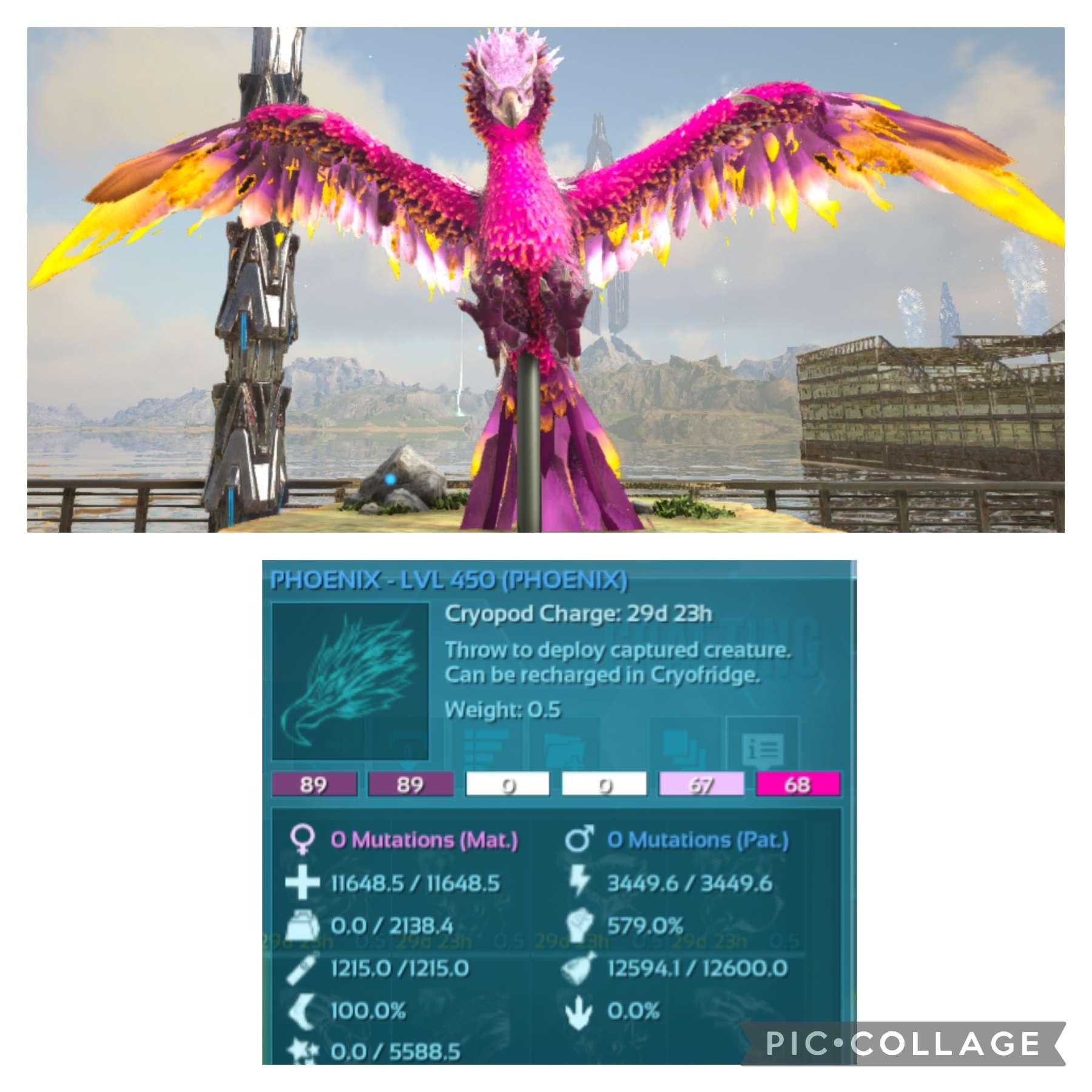 the image for this activity