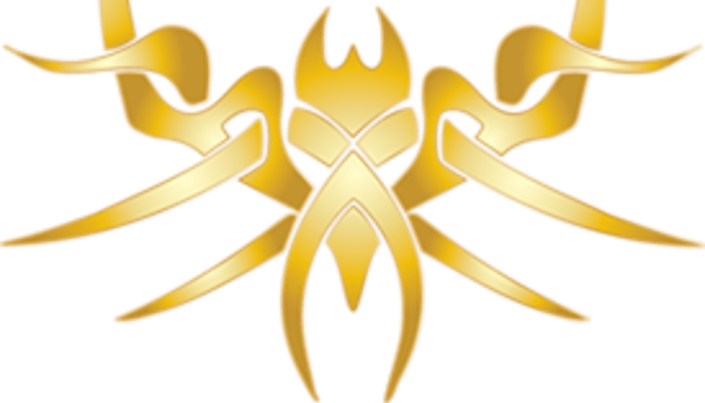 the image for this activity
