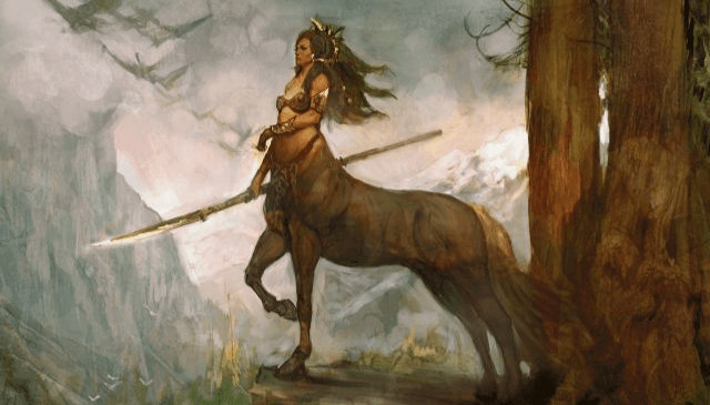 image of the activity